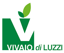 Vivaio di luzzi Logo